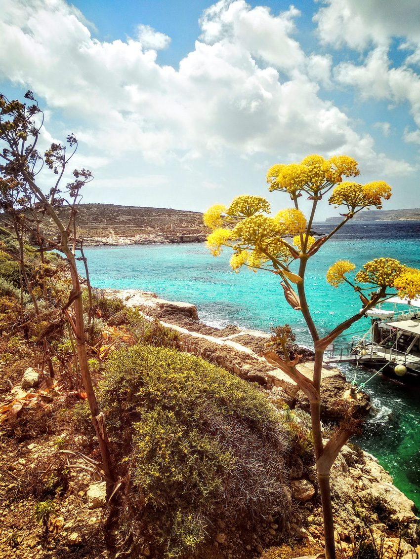 malta